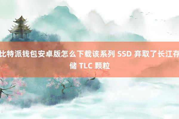 比特派钱包安卓版怎么下载该系列 SSD 弃取了长江存储 TLC 颗粒
